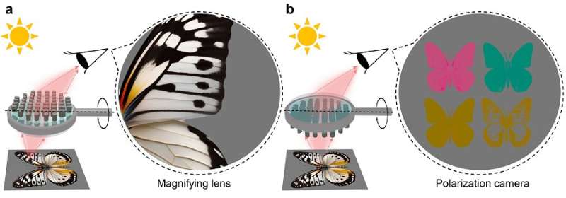 Janus-like metasurface technology that acts according to the direction of light