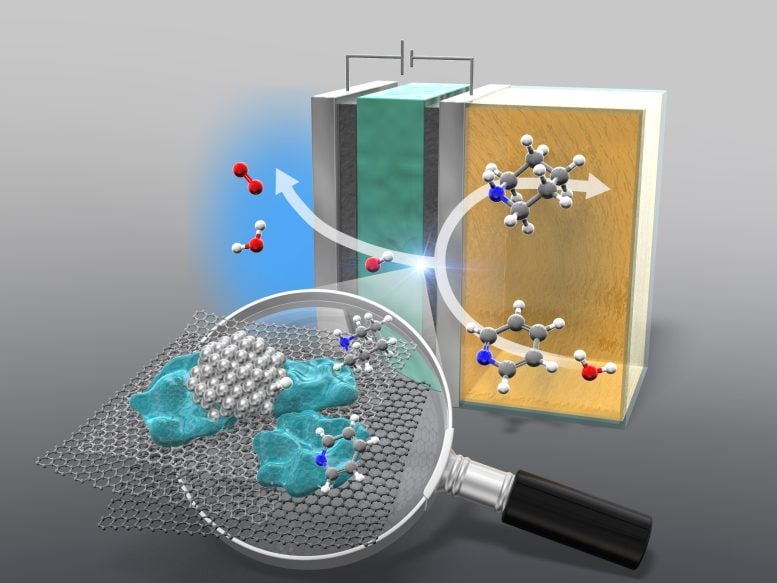 Anion Exchange Membrane Reactor for Electrocatalytic Hydrogenation of Pyridines to Piperidines