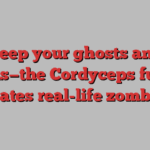 Keep your ghosts and ghouls—the Cordyceps fungus creates real-life zombies