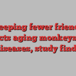 Keeping fewer friends protects aging monkeys from diseases, study finds