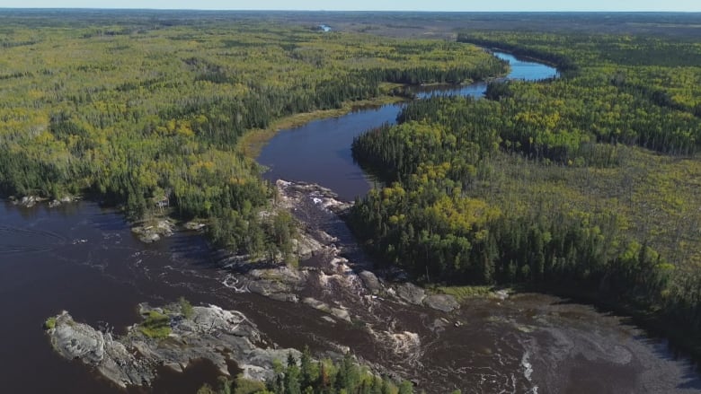 A river with rapids winds through a  section of boreal forest.