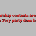 Leadership contests are what the Tory party does best