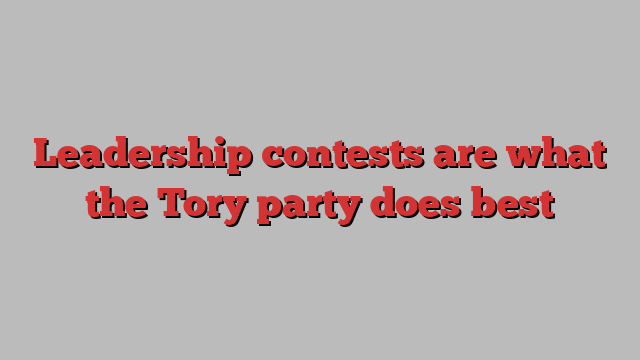 Leadership contests are what the Tory party does best