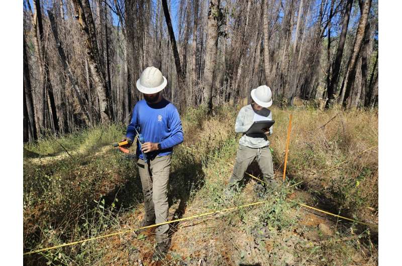 Field notes: Life in the Eldorado National Forest after wildfire strikes