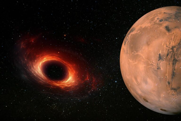 Primordial Black Holes and Mars’ Mysterious Wobble