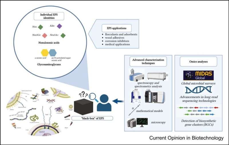 Materials of the future can be extracted from wastewater