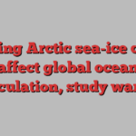 Melting Arctic sea-ice could affect global ocean circulation, study warns