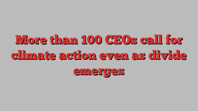 More than 100 CEOs call for climate action even as divide emerges