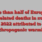 More than half of European heat-related deaths in summer 2022 attributed to anthropogenic warming