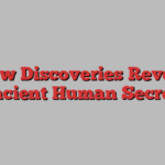 New Discoveries Reveal Ancient Human Secrets