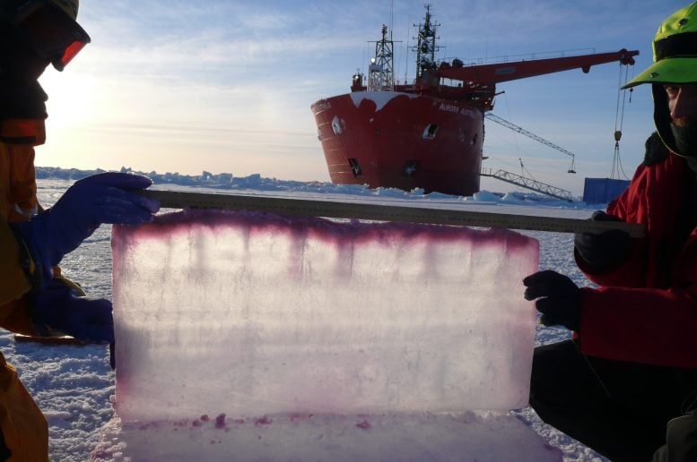 Upside Down Sea Ice Slab