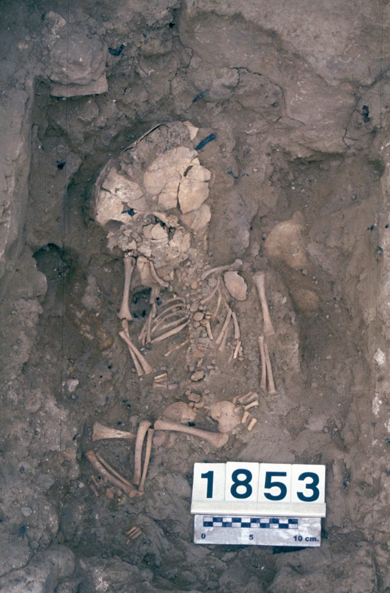 Burial of a Perinatal Individual From the Fortalesa Dels Vilars Site