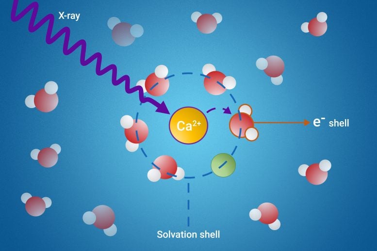 Hidden World of Solvation Shells