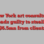 New York art consultant pleads guilty to stealing $6.5mn from clients