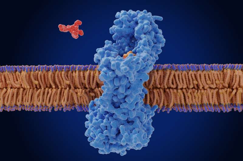 Linking chemistry with immune response to advance drug delivery