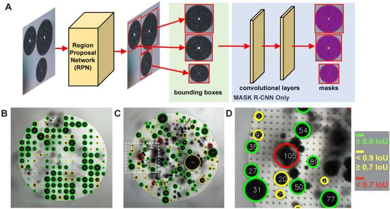 Bubble findings could unlock better electrode and electrolyzer designs