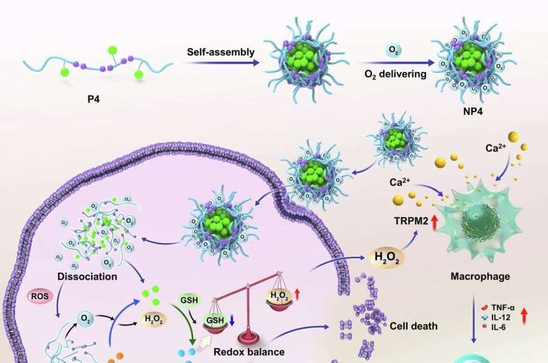 New anti-cancer agent works without oxygen