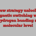 New strategy unlocks magnetic switching with hydrogen bonding at molecular level