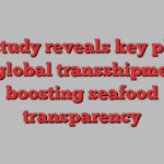 New study reveals key players in global transshipment, boosting seafood transparency