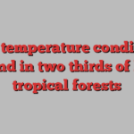 New temperature conditions found in two thirds of key tropical forests