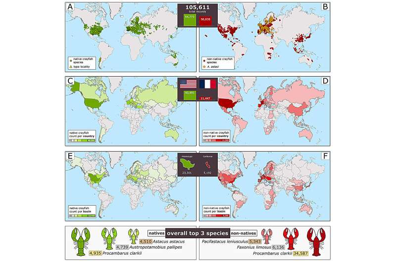 World of crayfish™: A web platform for global mapping of freshwater crayfish and pathogens