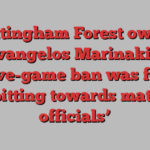 Nottingham Forest owner Evangelos Marinakis’ five-game ban was for ‘spitting towards match officials’