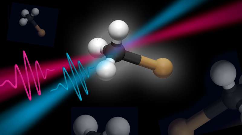 Towards new reaction pathways: insights on molecular dynamics in the ultrashort time window following UV excitation