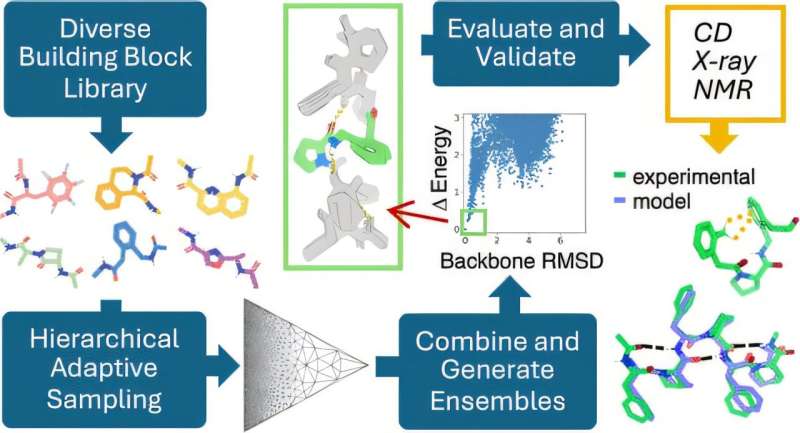 Novel polypeptide-based molecules could pave the way for enhanced polymer design