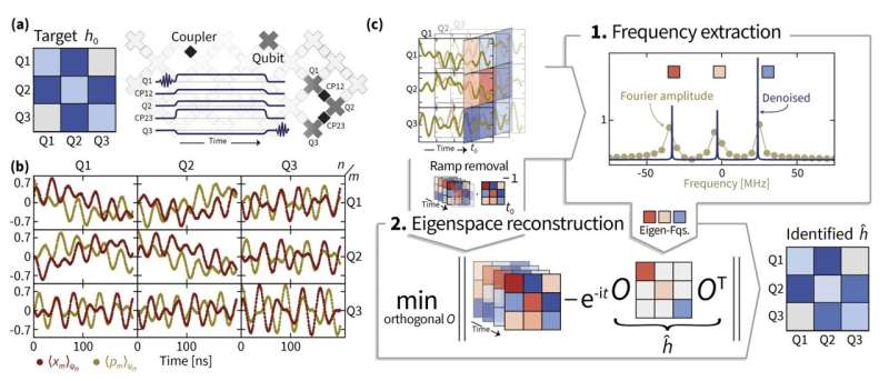 A strategy to robustly estimate the Hamiltonian dynamics of a superconducting quantum processor