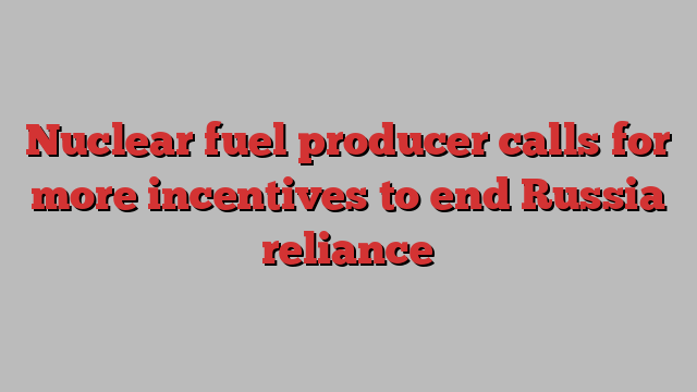 Nuclear fuel producer calls for more incentives to end Russia reliance