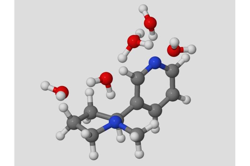 Observing the mechanism of protonation site switching in hydrated nicotine