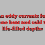 Ocean eddy currents funnel extreme heat and cold to the life-filled depths