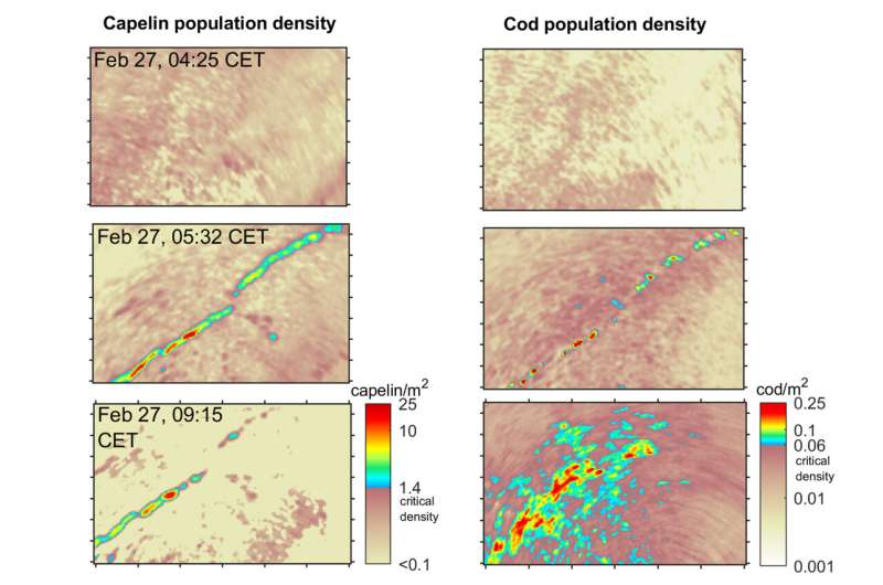 Oceanographers record the largest predation event ever observed in the ocean