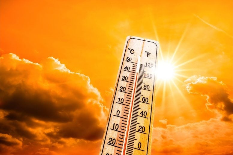 Hot Sun Thermometer Heatwave Concept