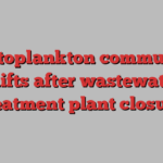 Phytoplankton community shifts after wastewater treatment plant closure