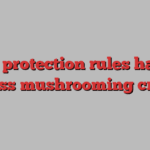 Picky protection rules hamper Swiss mushrooming craze