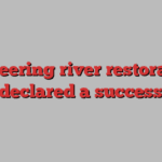 Pioneering river restoration declared a success