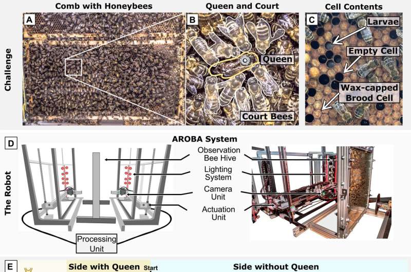 Researchers unveil pioneering robot system for studying honeybee behavior