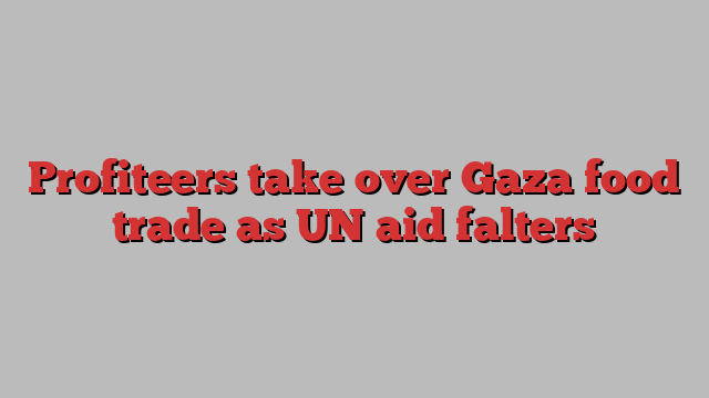 Profiteers take over Gaza food trade as UN aid falters