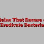 Proteins That Encase and Eradicate Bacteria