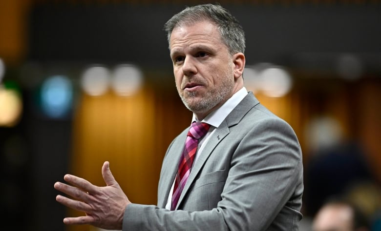 Minister of Health Mark Holland rises during Question Period in the House of Commons on Parliament Hill in Ottawa on Thursday, Feb. 29, 2024.