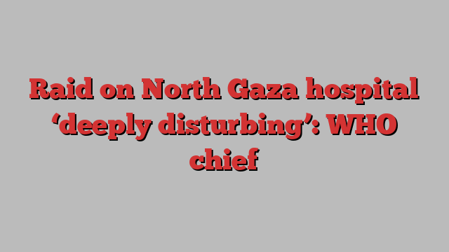 Raid on North Gaza hospital ‘deeply disturbing’: WHO chief