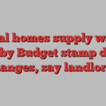 Rental homes supply will be hit by Budget stamp duty changes, say landlords