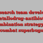 Research team develops metallodrug-antibiotic combination strategy to combat superbugs