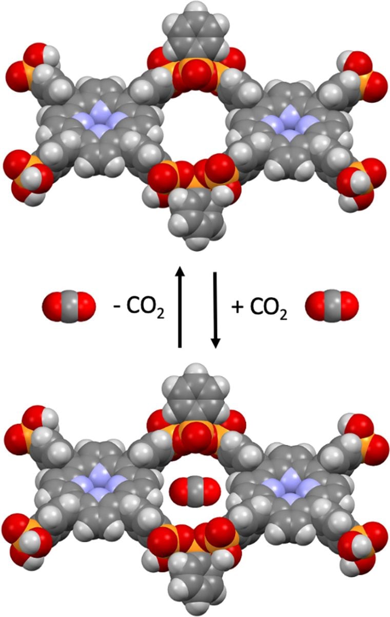 Polyphosphonate Covalent Organic Frameworks