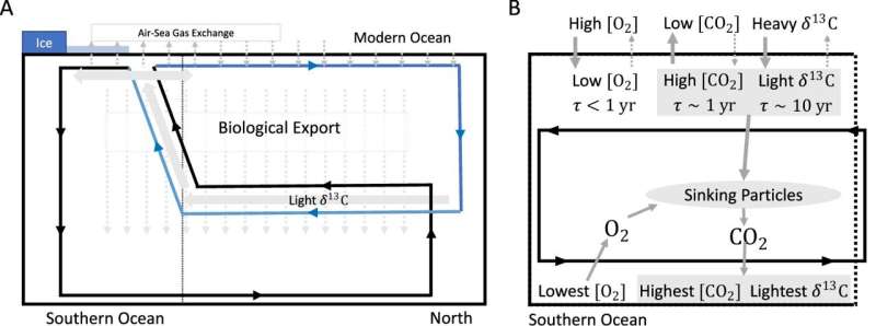 Earth, environmental and planetary sciences' AW Omta conducts research on changes in atmospheric carbon dioxide levels