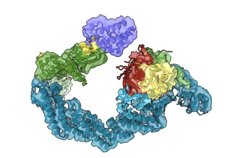 Hitting the bull's eye to target 'undruggable' diseases – researchers reveal new levels of detail in targeted protein degradation