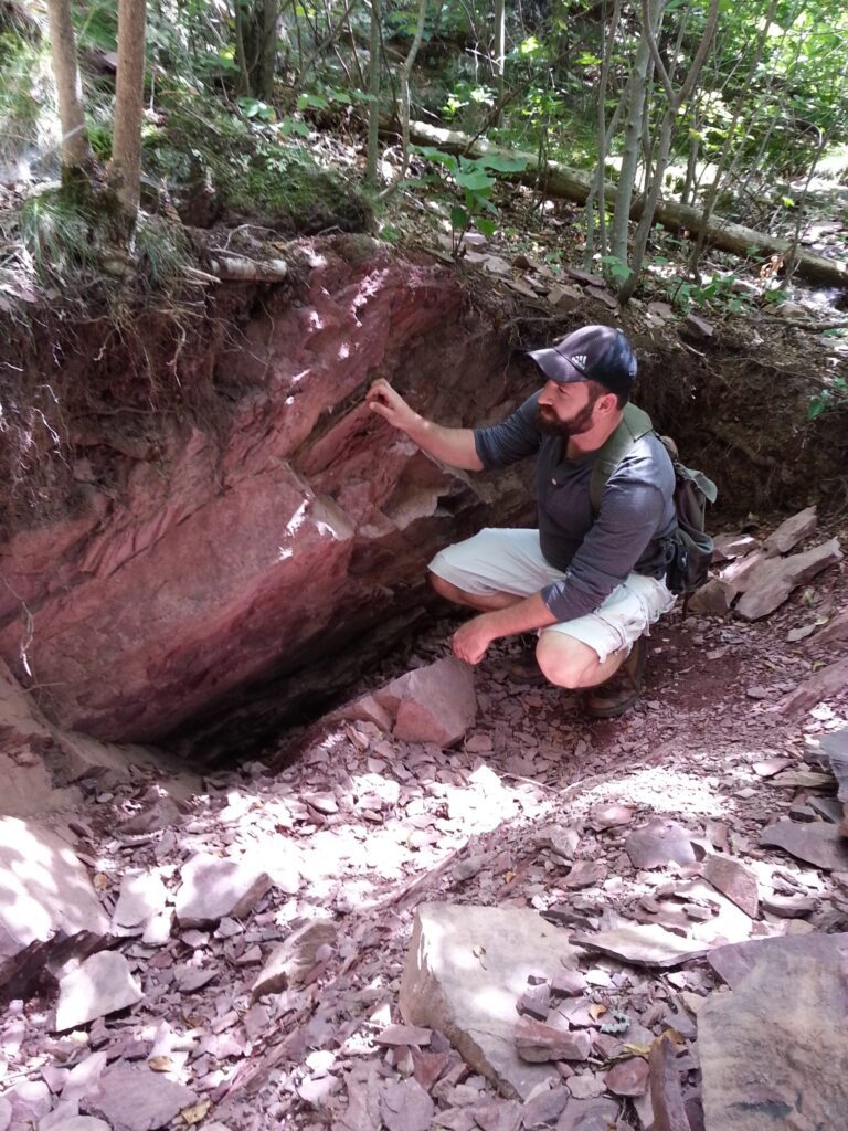 Harvard Scientists Uncover Exceptional Ancient Fossil Trove in Massachusetts