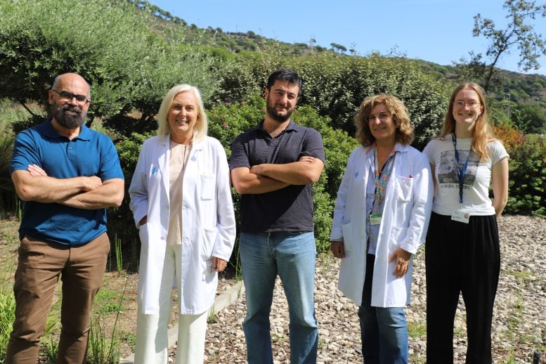 Esteban Ballestar, Cristina Ramo Tello, Federico Fondelli, Eva Martínez Cáceres and Jana Willemyns