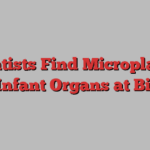 Scientists Find Microplastics in Infant Organs at Birth